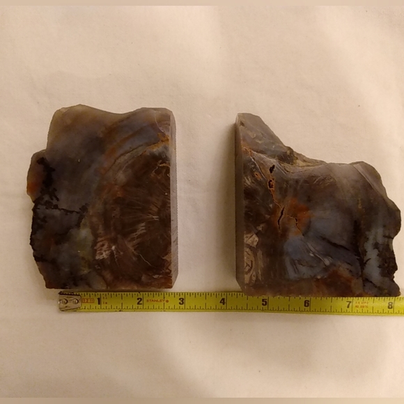 Petrified Wood Book Ends Polished Collectible Nature Fossil Earth Eco Gift - Picture 6 of 7